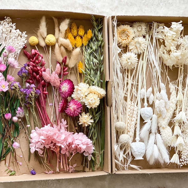 DIY dried flowers DIY set in colorful and different colors, DIY dried flower bouquet, dried flower wreath with pampas grass, Lagurus, Phalaris