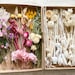 see more listings in the Dried flowers section