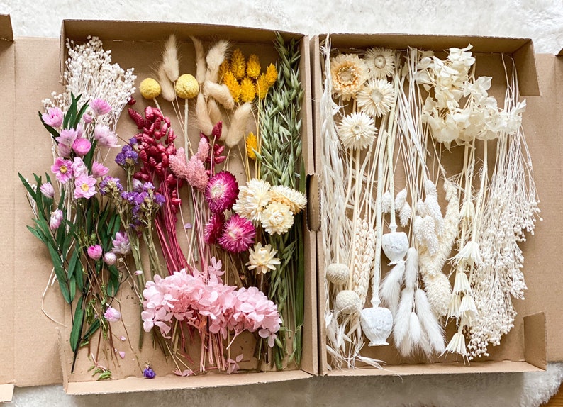 DIY dried flowers DIY set in colorful and different colors, DIY dried flower bouquet, dried flower wreath with pampas grass, lagurus, phalaris image 1