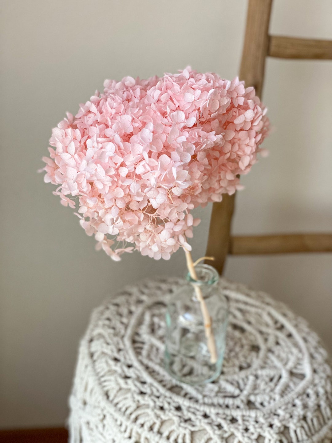 PremiumRose Rose Bleu Clair Stabilisé Et Parfumé 8 Cm Vraie Rose Eternelle, Idée Cadeau Maman, Petite Amie, Ami, Idée Cadeau D'anniversaire, Remise De Diplôme (Bleu Clair - A 1084
