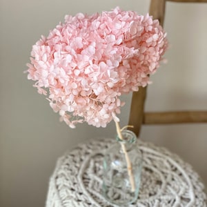 Könnte beinhalten: Eine große, hellrosa Hortensienblüte in einer klaren Glasflasche. Die Blume steht auf einem cremefarbenen Pouf im Makramee-Stil. Im Hintergrund ist eine Holzleiter zu sehen.