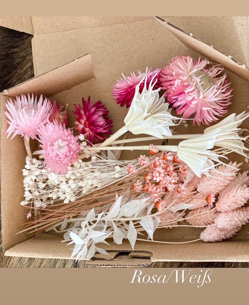 DIY dried flowers DIY set in colorful and different colors, DIY dried flower bouquet, dried flower wreath with pampas grass, lagurus, phalaris Rosa/Weiß