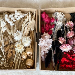 Autumn Winter DIY dried flowers DIY set in different colors like gold, brown, yellow, orange, red, dried flower wreath