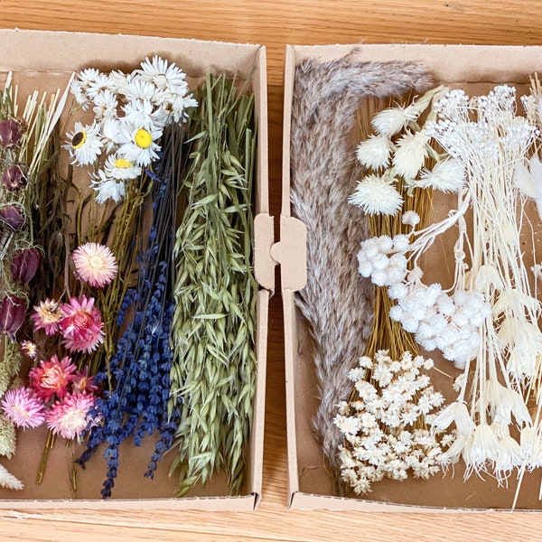 DIY Trockenblumen DIY-Set in verschiedenen Farben, DIY-Trockenblumenstrauß, Trockenblumenkranz mit Pampasgras, Lagurus, Phalaris