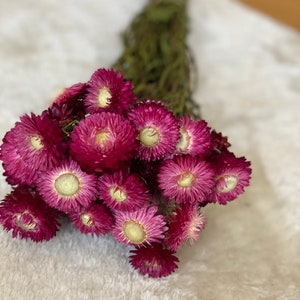 Straw flowers, XXL bouquet or small quantity, DIY dried flowers, in various colors, DIY dried flower bouquet, DIY dried flower wreath