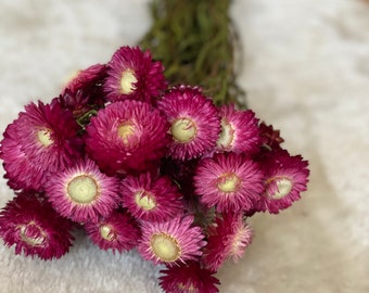 Strohblumen, Xxl-Strauß oder kleine Menge, DIY Trockenblumen, inverschiedenen Farben, DIY-Trockenblumenstrauß, DIY-Trockenblumenkranz