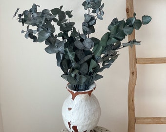 Eucalyptus Cinerea, preserved eucalyptus, dried flowers