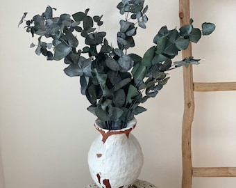 Eucalyptus cinerea, preserved eucalyptus, dried flowers