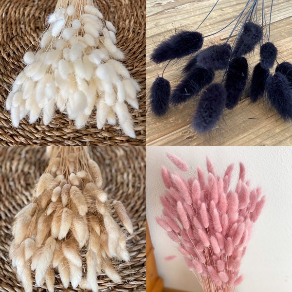 Lagurus in different colors dried flowers for home decor or dried flower arrangements