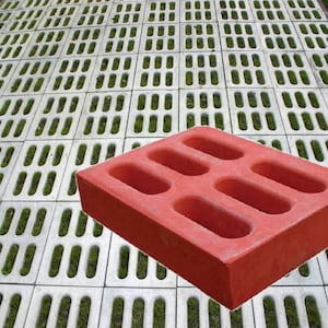 Ecoparking grass- plastik mold for concrete paving slabs, Concrete garden stepping stone, Path Yard, garden walkway, ekoparking