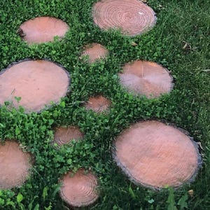 Cut a tree SET - plastic mold for concrete paving slabs, Stone pattern,Concrete garden stepping stone, Path Yard, garden walkway