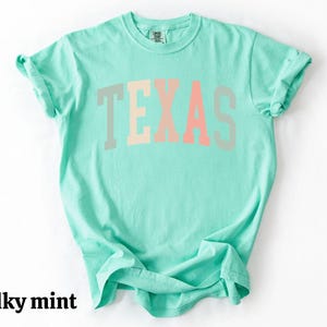 Pastel Texas Shirt, Texas Tshirt, Best Texas Gifts, Womens Texas Shirt, Texas Tee, State Shirts, Comfort Colors® Texas Shirt, State Shirts Chalky Mint