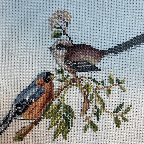 Vintage Bird Cross Stitch: French Needlepoint on Linen (21x21 cm)