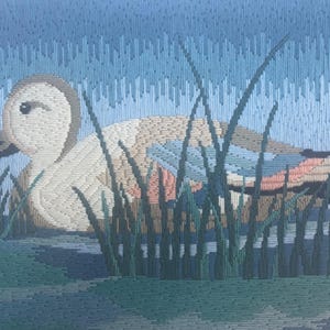 May include: A white duck with a brown and blue patterned body is swimming in a pond with green reeds. The duck's head is turned to the left, and its beak is open.