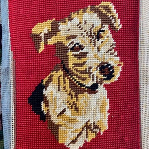 Adorable Schnauzer doggy portrait, dog tapestry,  French vintage needlepoint. (39a)