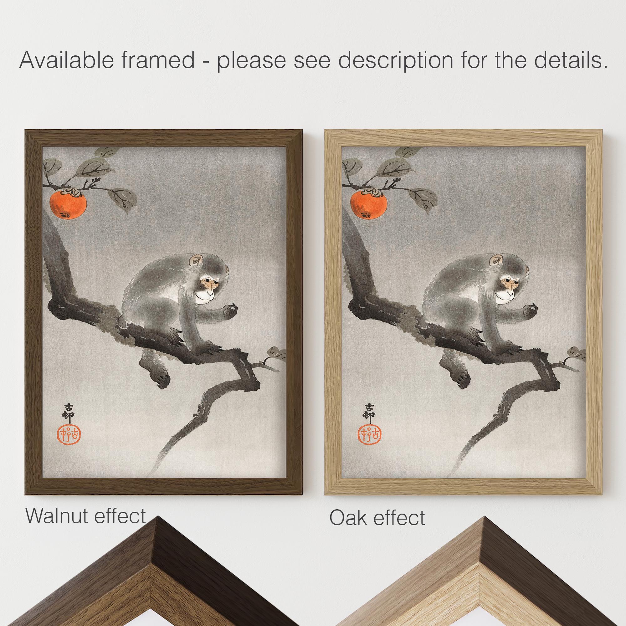 Monkey in Cockatoo Japanese Fine Art Print | Home Decor - Etsy