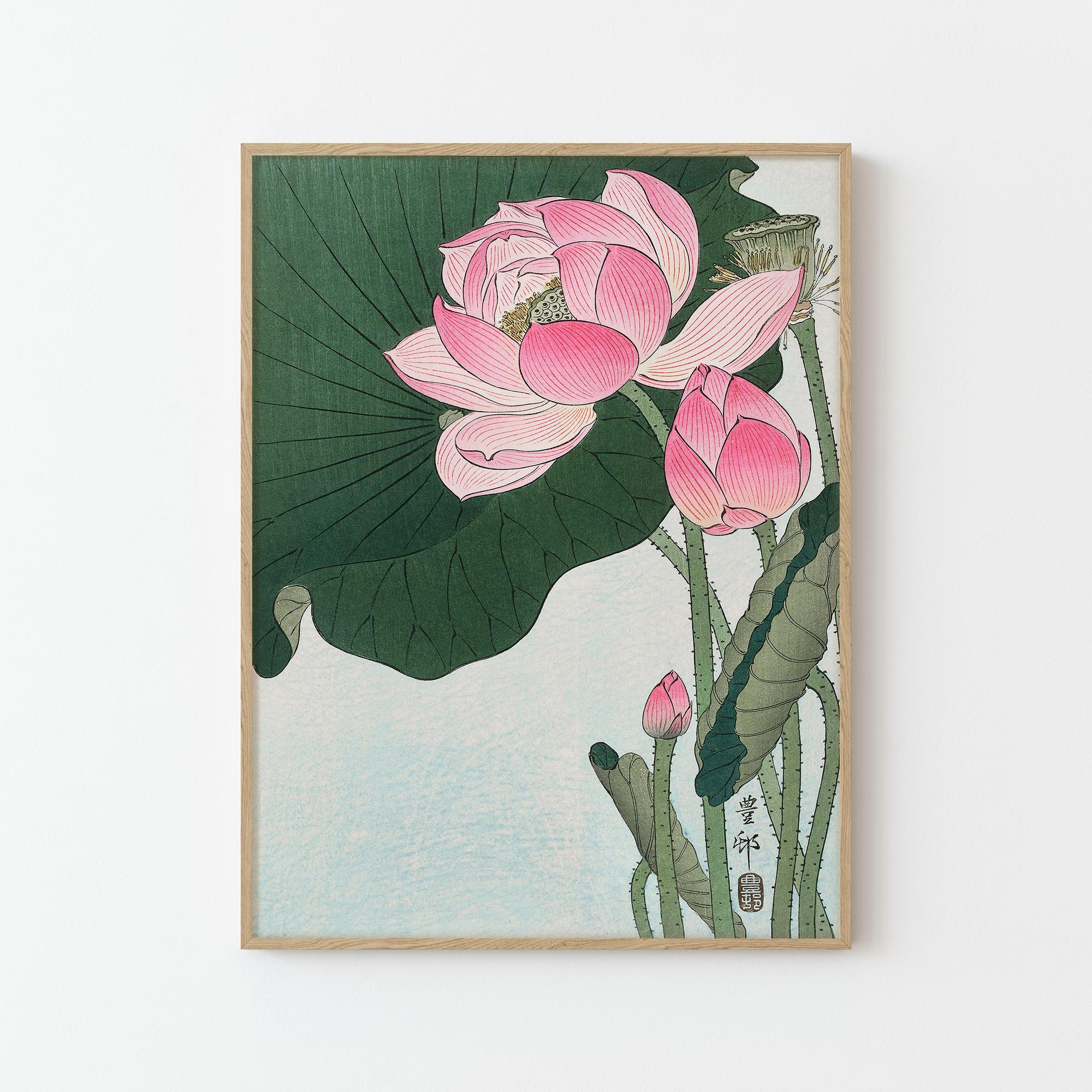 Blooming Lotus Flowers Japanese Fine Art Print | Home Decor - Etsy
