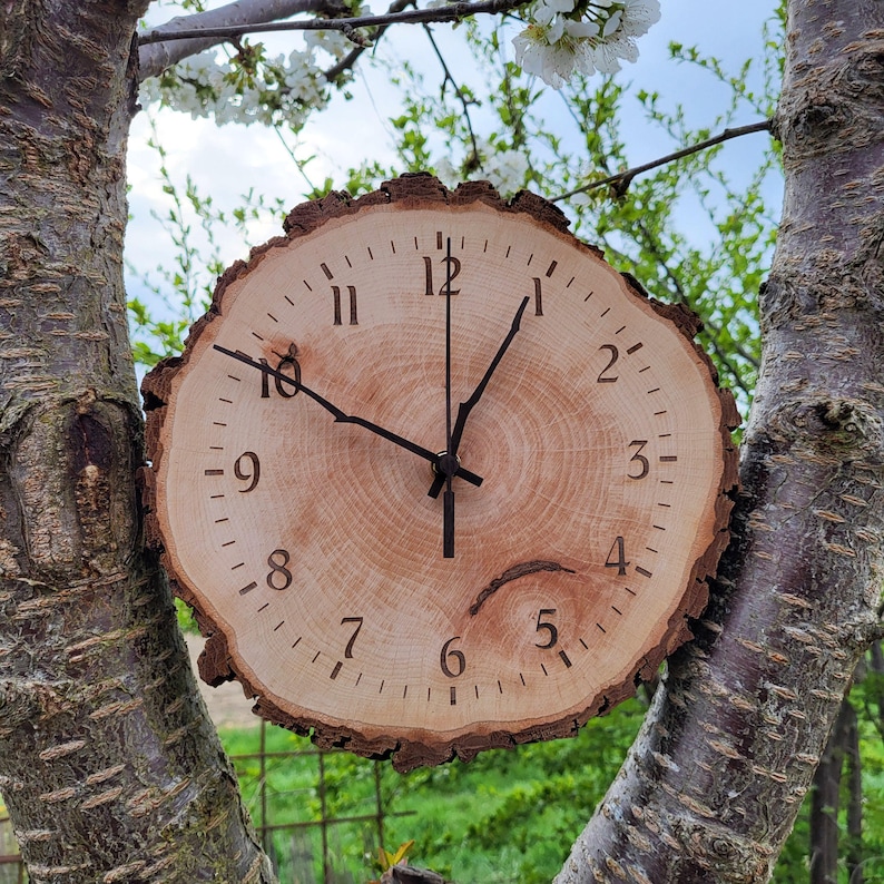 May include: A wooden clock with black hands and Roman numeral markings on a natural wood slice. The clock is hanging from a tree branch.