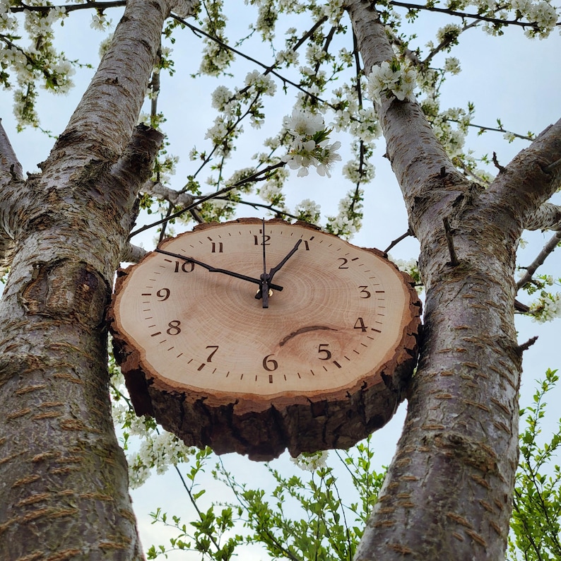 May include: A wooden clock with Roman numeral markings hangs from a tree branch. The clock face is made from a tree slice with the bark still attached. The clock hands are black and the background is a light brown wood.