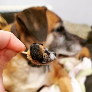 May include: A close-up of a small, brown, black, and white stuffed animal dog head on a toothpick. The dog's head is made of fuzzy material and has a white snout.