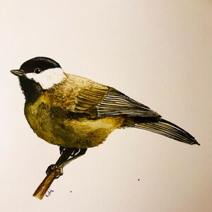 Peinture à l'aquarelle mésange