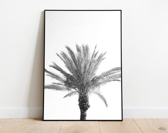 Stampa d'arte - | bianco e nero palma Fotografia | Fine Art Print - come poster, tela, vetro acrilico o Aludibond - diverse dimensioni