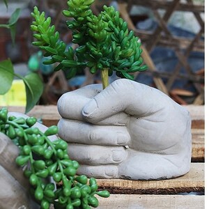 May include: Two grey concrete hands holding small green plants. The hands are clasped together, and the plants are growing out of the top of the hands.
