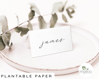 Cartes de lieu plantables, cartes de table minimales, cartes de lieu personnalisées, nom de lieu de mariage personnalisé, papier ensemencé