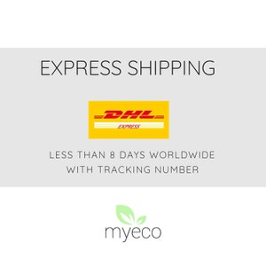 DHL Express Shipping