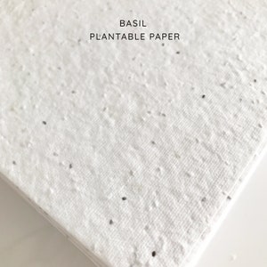 以下が含まれることがあります： 白い植栽可能な紙のクローズアップ。黒いバジルシードが紙に埋め込まれています。画像の上部に「BASIL PLANTABLE PAPER」というテキストが印刷されています。