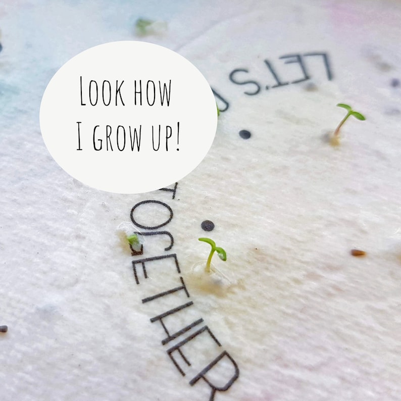 以下が含まれることがあります： 「Let's Grow Together」と印刷された白い紙。紙から小さな緑の芽がいくつか生えています。左上の隅には、「Look How I Grow Up！」と書かれた白い円があります。