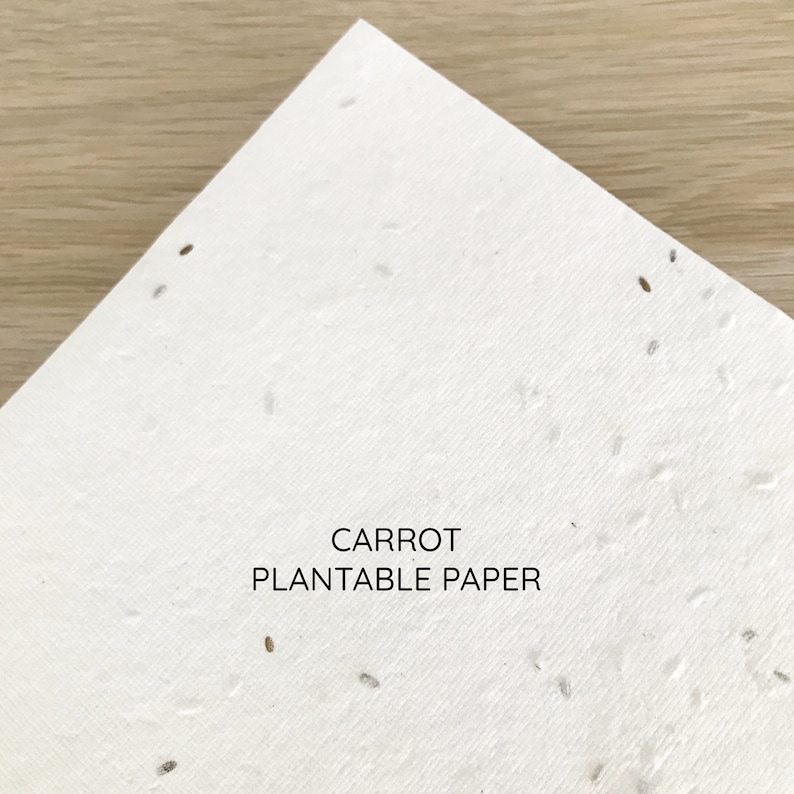 以下が含まれることがあります： 「CARROT PLANTABLE PAPER」と印刷された白い植栽可能な紙。紙には小さな茶色の種が散りばめられています。