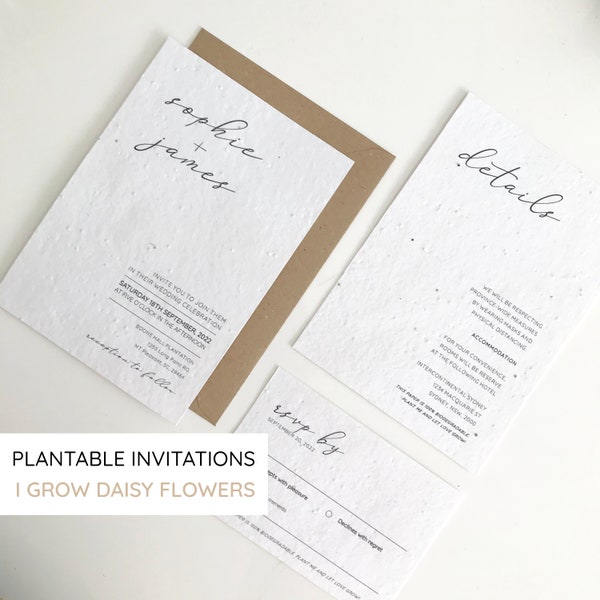 Pflanzbares Minimal Hochzeitseinladungs Set, Seeded Paper Einladungen, Rsvp und Detailkarte, einfache Einladungen, gedruckte Einladung