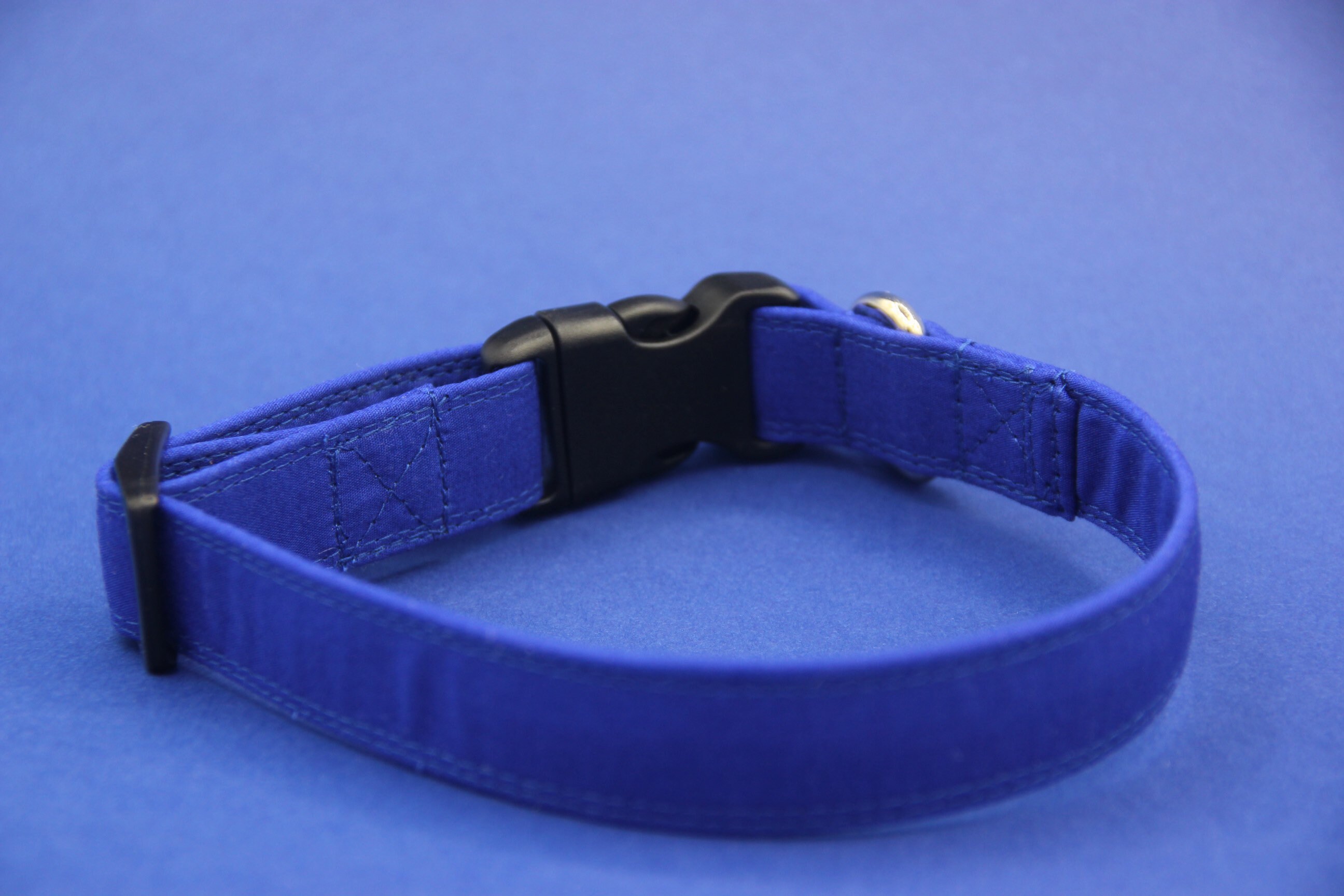 Bright Blue Dog Collar. Blue puppy Collar boy or male dog Etsy