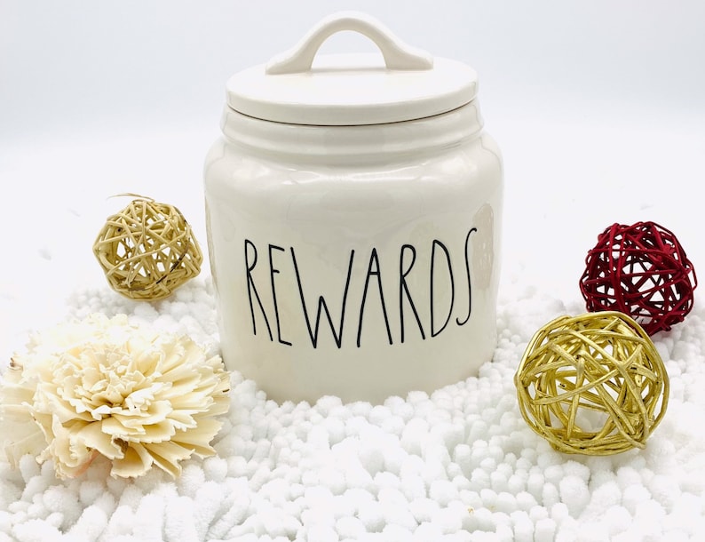 Rae Dunn cookie jar Rae Dunn canister Snack Canister. ceramic rewards Rewards Food Container for Cookies or Dog Biscuits