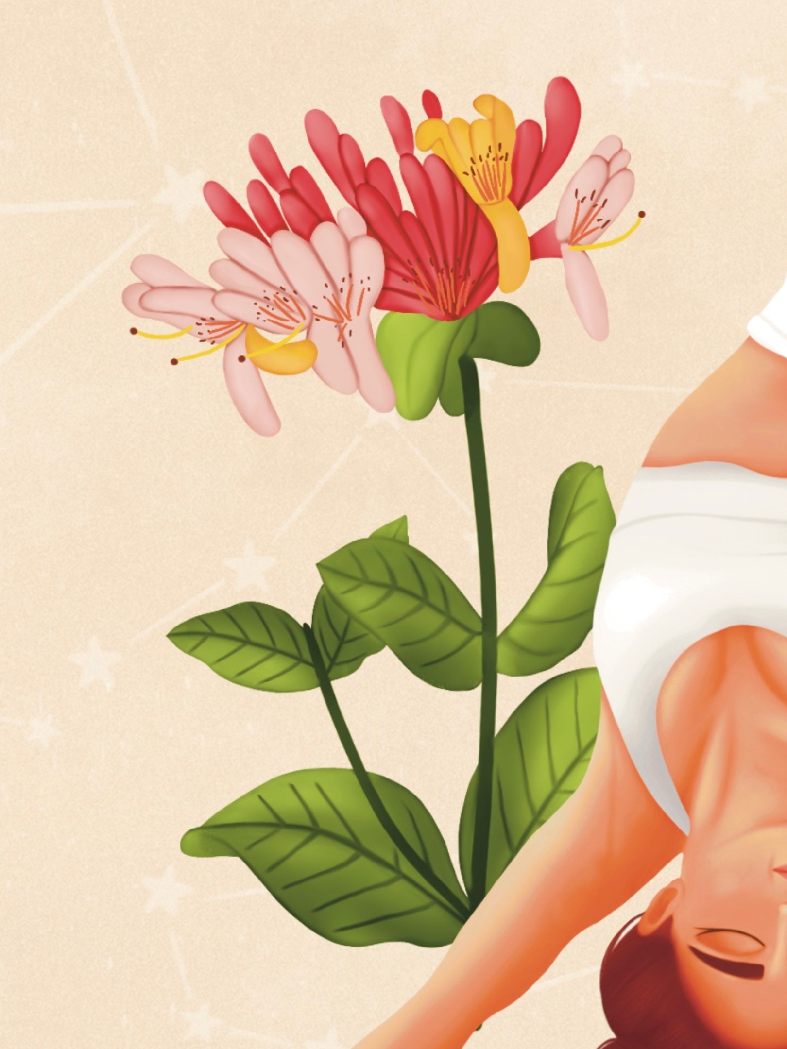 Zodiac Aries Birth Flower Honeysuckle Etsy