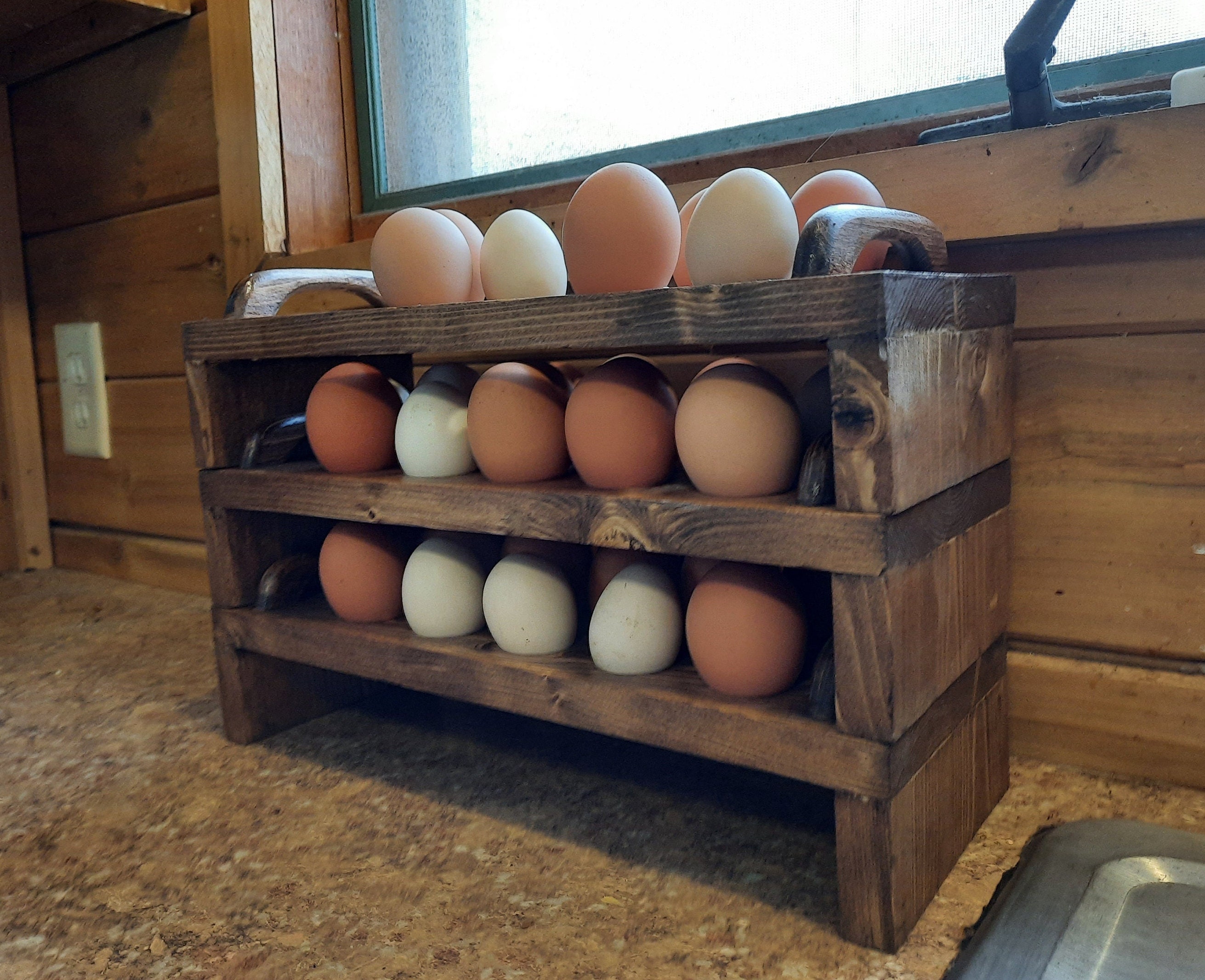  Fresh Egg Holder Countertop, Egg Skelter, Spiral Egg