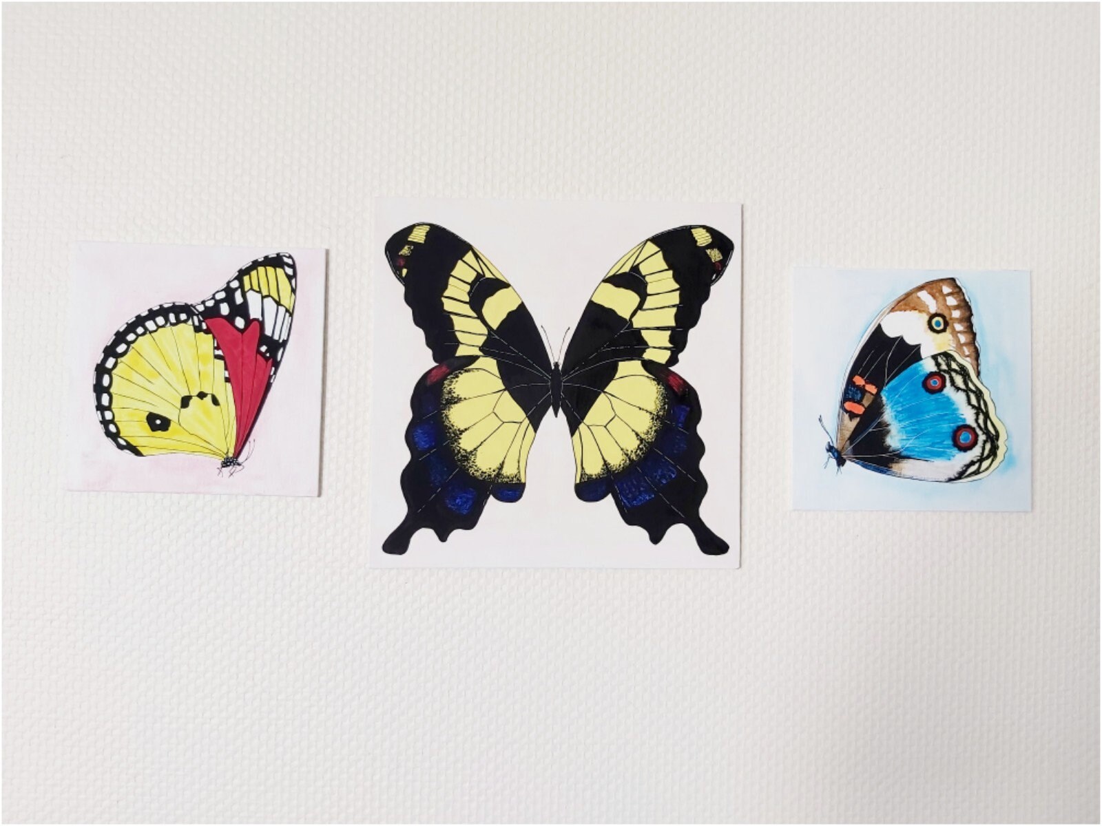 Original Butterfly Watercolour Painting On Canvas, Wall Decor, Hangings, Art, Animal Painting