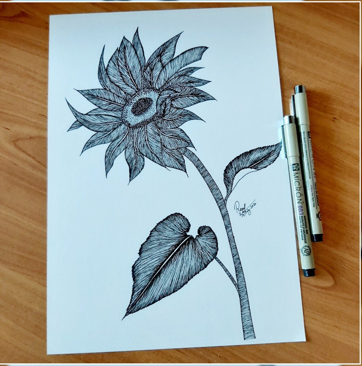 Black & White Original Sunflower Painting With Waterproof Pens, Minimalism, Unique, Detailed Illustr