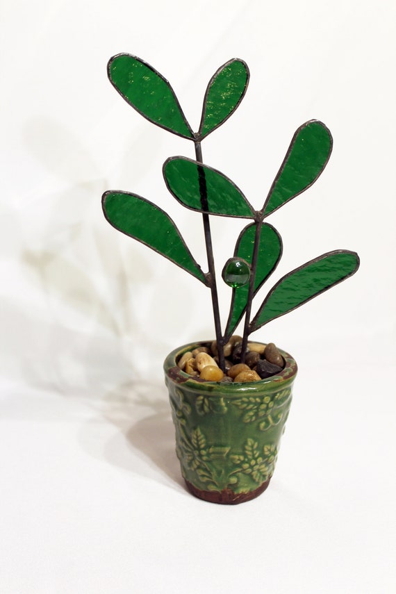 zimmerpflanze moos Monstera Deliciosa Moos Stock - 90cm