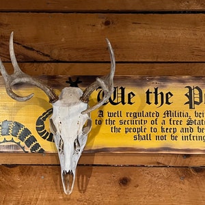 European Mount Plaque | Deer Skull Plaque | Hunting Plaque | Hunting Decor | We the People | 2nd Amendment