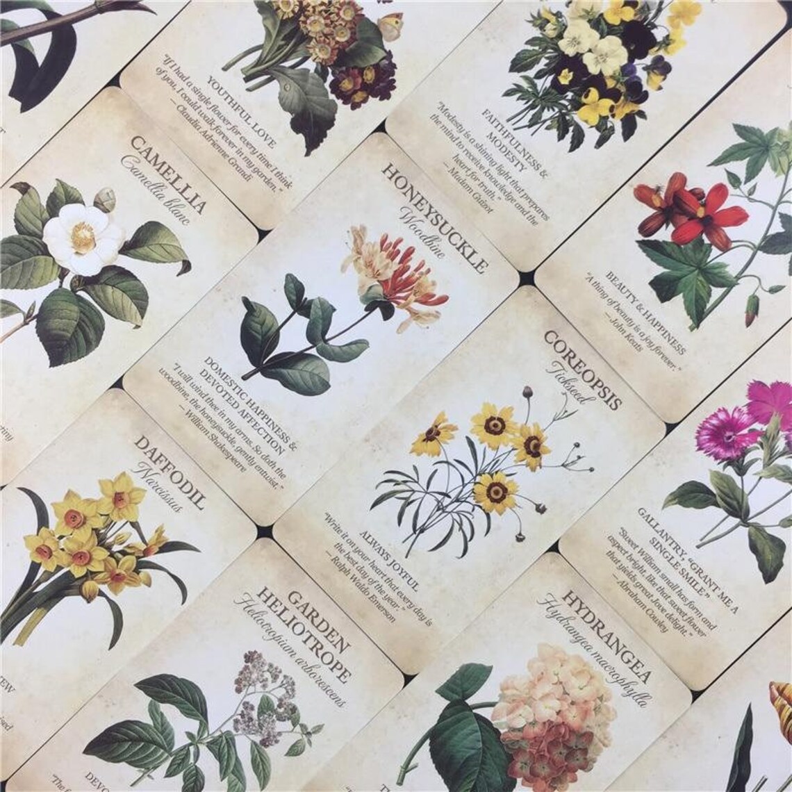 Flower Tarot Deck 44 Cards Tarot Deck with Guidebook PDF Etsy