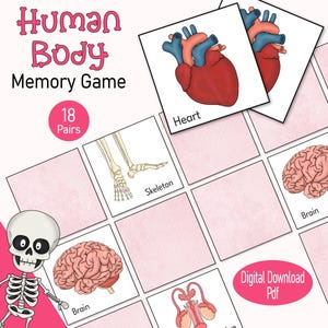 Tarjetas de memoria del cuerpo humano, un juego de anatomía imprimible para niños, una actividad de emparejamiento de libros para un momento de tranquilidad o para la educación en el hogar en edad preescolar o en el jardín de infantes