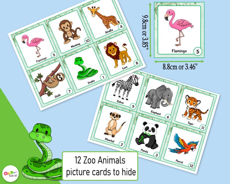 Op de afbeelding: Twaalf ge&iuml;llustreerde dierentuin-dierenkaartjes met groene randen. Elke kaart toont een ander dier, waaronder een giraffe, een aap, een leeuw, een slang, een luiaard, een flamingo, een zebra, een olifant, een tijger, een mangoest, een panda en een papegaai. De kaartjes zijn genummerd van 1 tot 12.