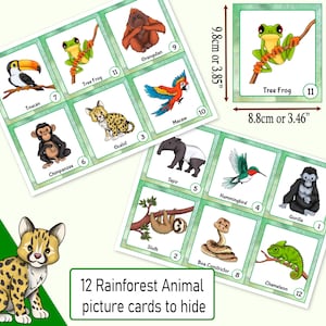 Peut inclure: Douze cartes illustr&eacute;es repr&eacute;sentant des animaux de la for&ecirc;t tropicale, chacune avec un num&eacute;ro et un nom. Les cartes mesurent 9,8 cm sur 8,8 cm et sont imprim&eacute;es sur du papier cartonn&eacute; blanc avec des bordures vertes. Les animaux comprennent un toucan, une grenouille arboricole, un orang-outan, un ara, un ocelot, un chimpanz&eacute;, un tapir, un colibri, un gorille, un paresseux, un boa constrictor et un cam&eacute;l&eacute;on.