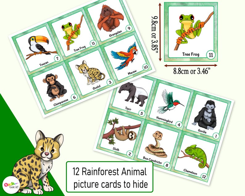 Peut inclure: Douze cartes illustr&eacute;es repr&eacute;sentant des animaux de la for&ecirc;t tropicale, chacune avec un num&eacute;ro et un nom. Les cartes mesurent 9,8 cm sur 8,8 cm et sont imprim&eacute;es sur du papier cartonn&eacute; blanc avec des bordures vertes. Les animaux comprennent un toucan, une grenouille arboricole, un orang-outan, un ara, un ocelot, un chimpanz&eacute;, un tapir, un colibri, un gorille, un paresseux, un boa constrictor et un cam&eacute;l&eacute;on.