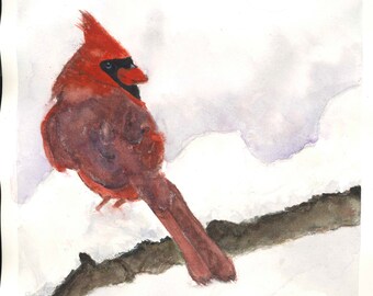 Cardinal - Watercolor