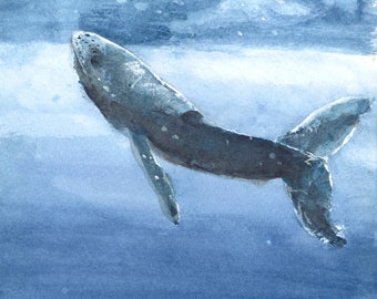 Blue Whale - Print of Original watercolor