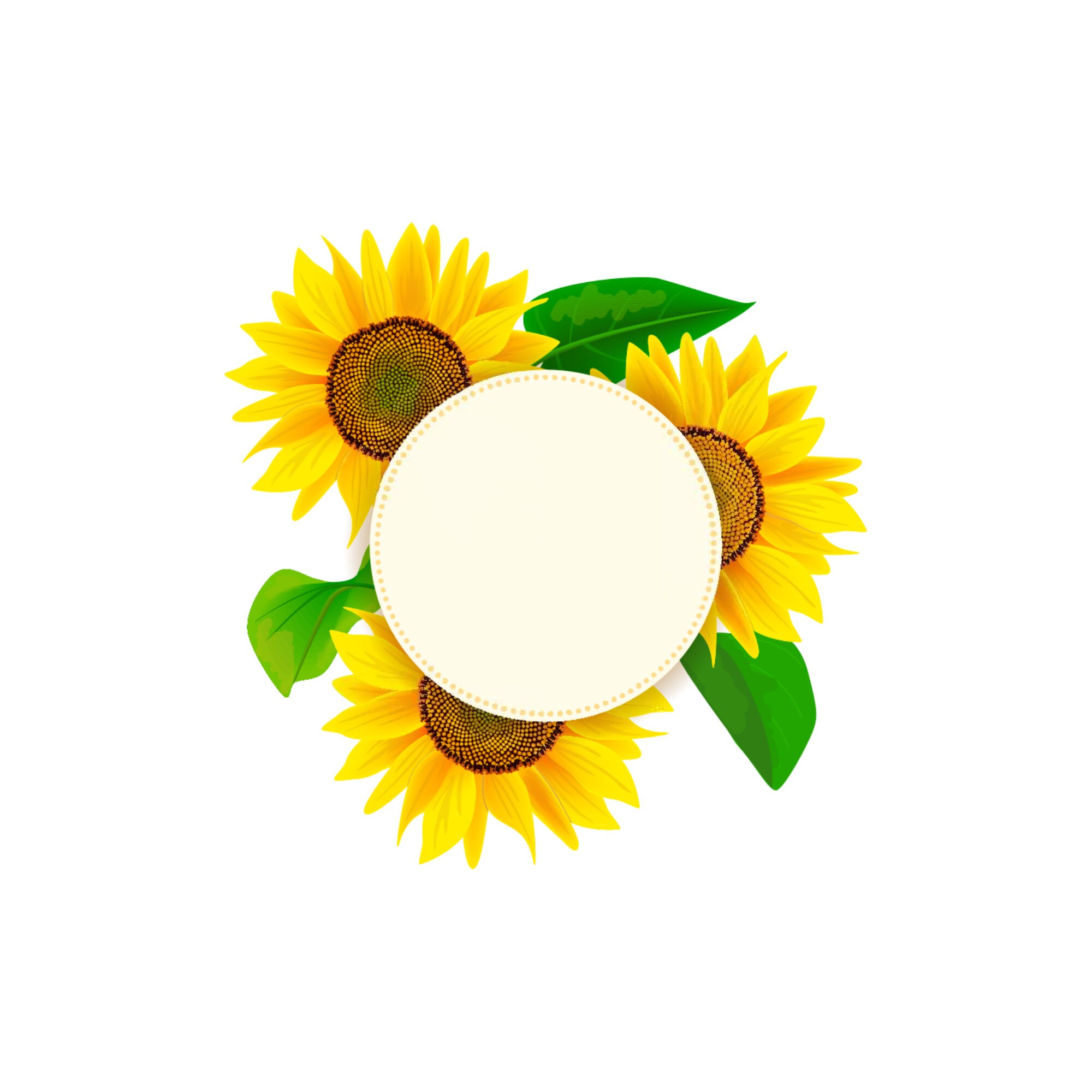 Sunflower circle Flowers Clipart Floral Clipart SVG PNG PDF | Etsy