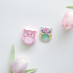 May include: A pink owl-shaped cookie cutter next to a colorful owl-shaped pin. The pin features a green chest, yellow body, and purple, blue, and gold accents. The items are on a white surface with a pink tulip and green leaves.